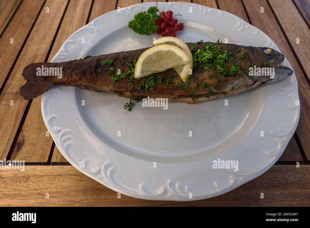 Trota Muellerin Art servito in un ristorante giardino, Franconia, Baviera, Germania Foto Stock