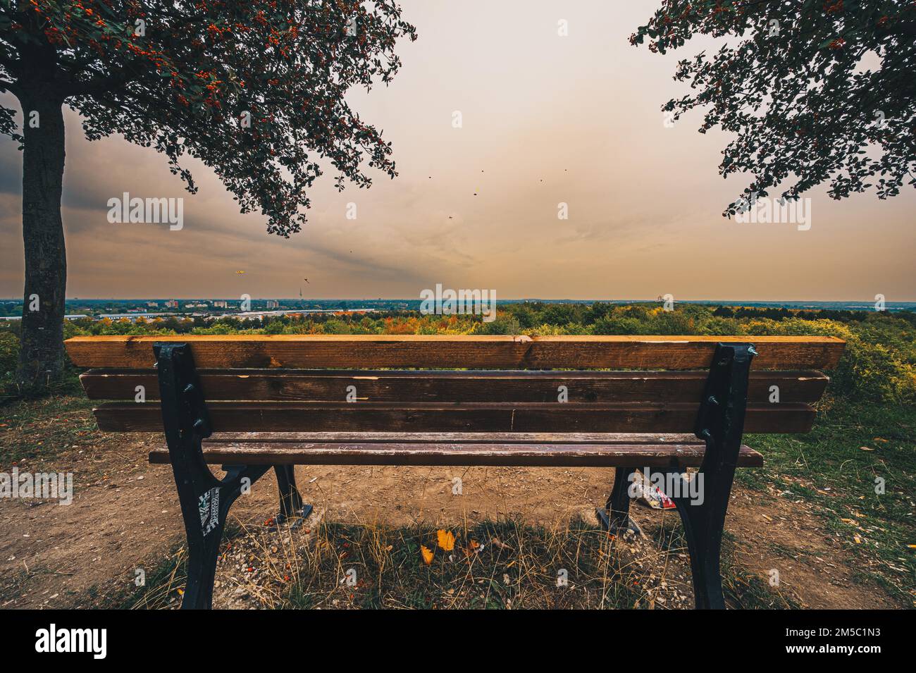 Panchina del parco sul Kronsberg tra due alberi decidui con vista sulla foresta e gli alberi in autunno sotto un cielo coperto, Hannover, bassa Sassonia Foto Stock