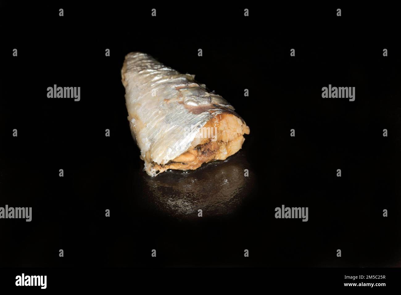 Una sardina spagnola accuratamente selezionata sott'olio, fotografia del cibo con sfondo nero Foto Stock