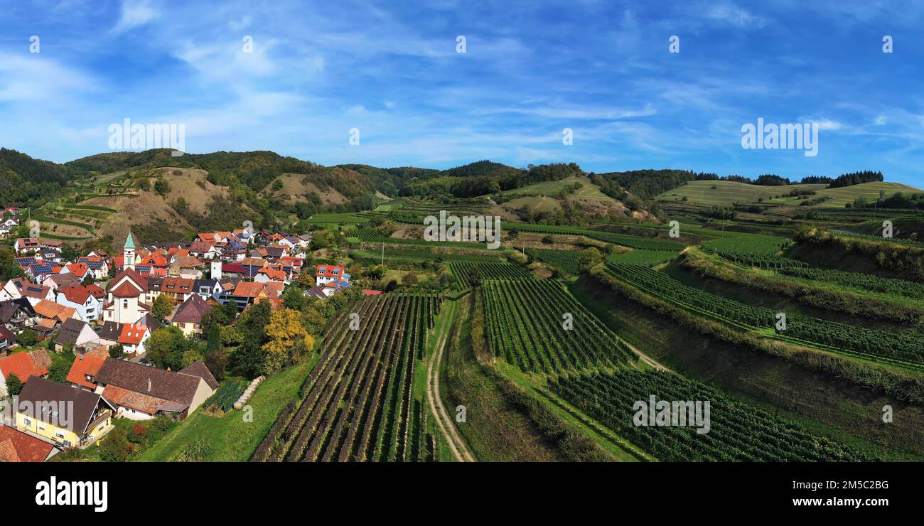 Vista aerea di Schelingen am Kaiserstuhl con vista sui vigneti. Schelingen, Voggsburg am Kaiserstuhl, Breisgau, Foresta Nera, Friburgo Foto Stock