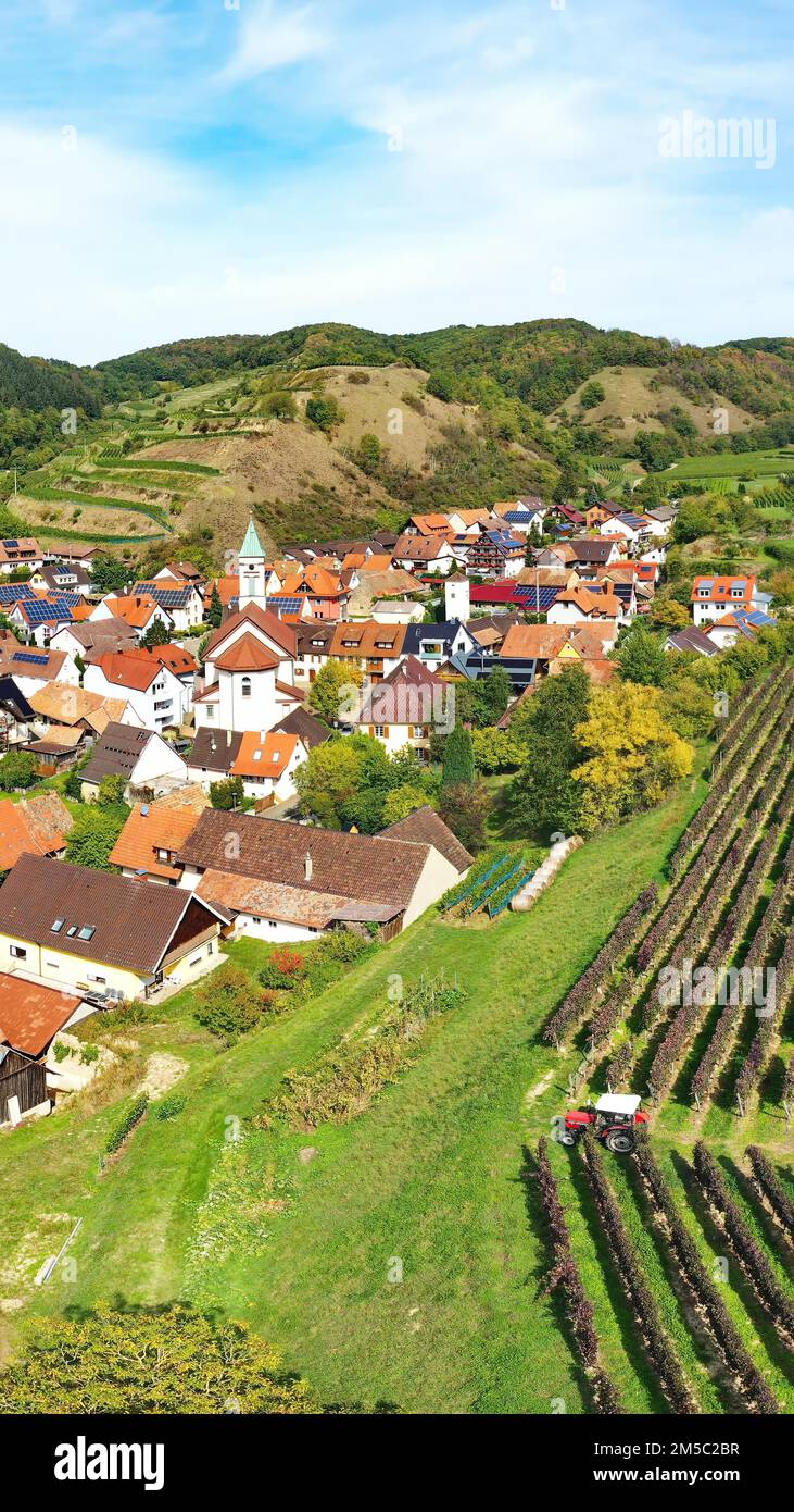 Vista aerea di Schelingen am Kaiserstuhl con vista sui vigneti. Schelingen, Voggsburg am Kaiserstuhl, Breisgau, Foresta Nera, Friburgo Foto Stock