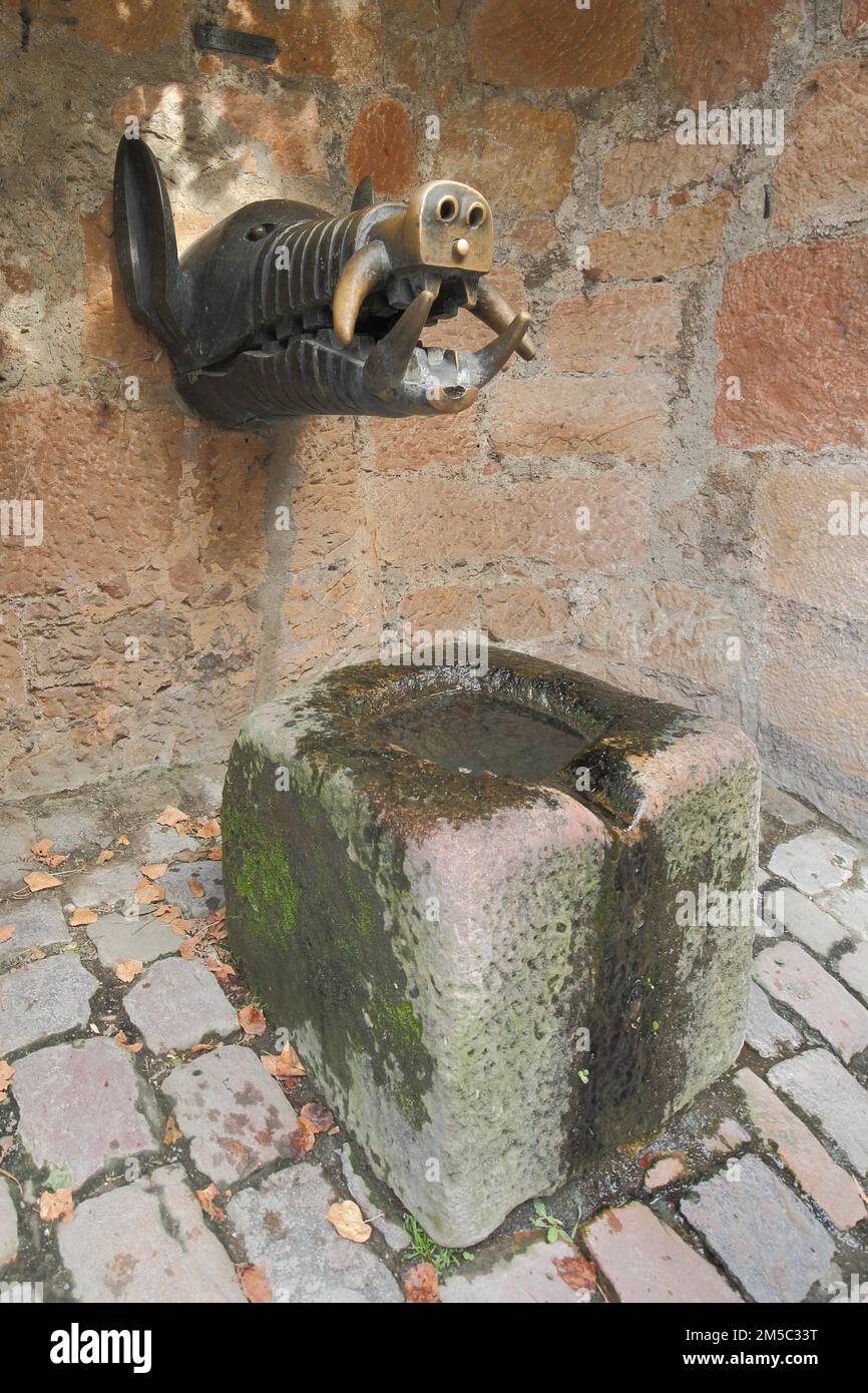 Fontana ornamentale con figura di cinghiale al castello, figura animale, testa, Marburg, Assia, Germania Foto Stock