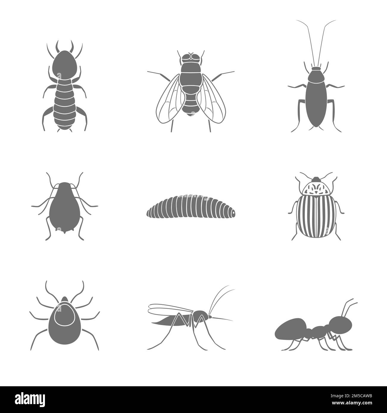Set di sagome di insetti. Illustrazione vettoriale. Illustrazione Vettoriale
