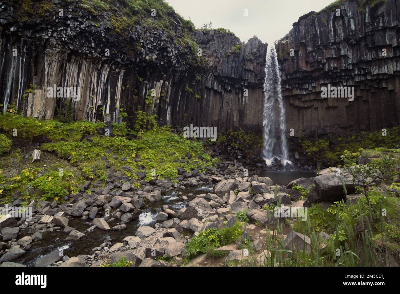 Foto della cascata di Svartifoss e del paesaggio fluviale Foto Stock