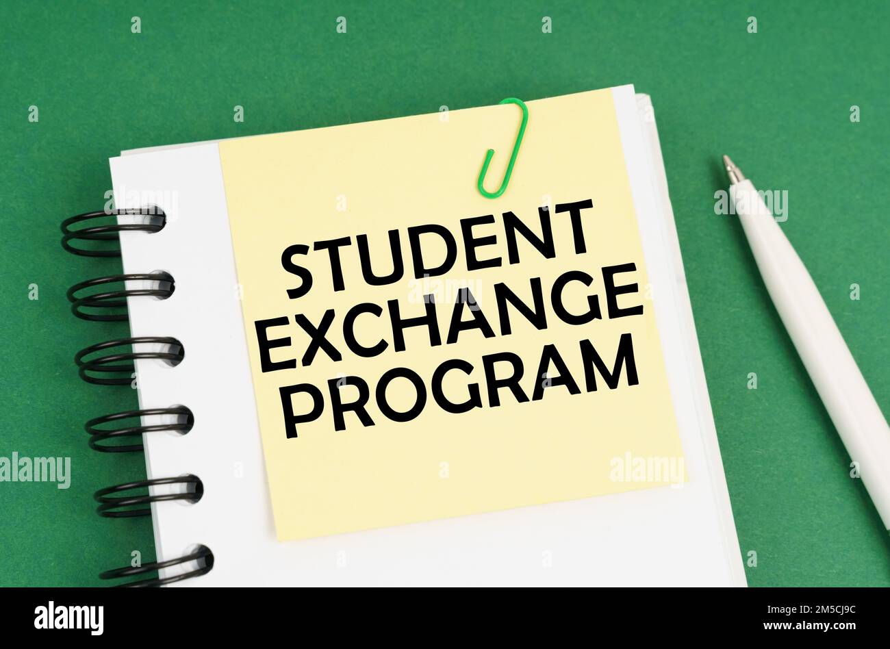 Concetto aziendale. Su una superficie verde, una penna, un blocco note con adesivi e l'iscrizione - PROGRAMMA DI SCAMBIO STUDENTI Foto Stock
