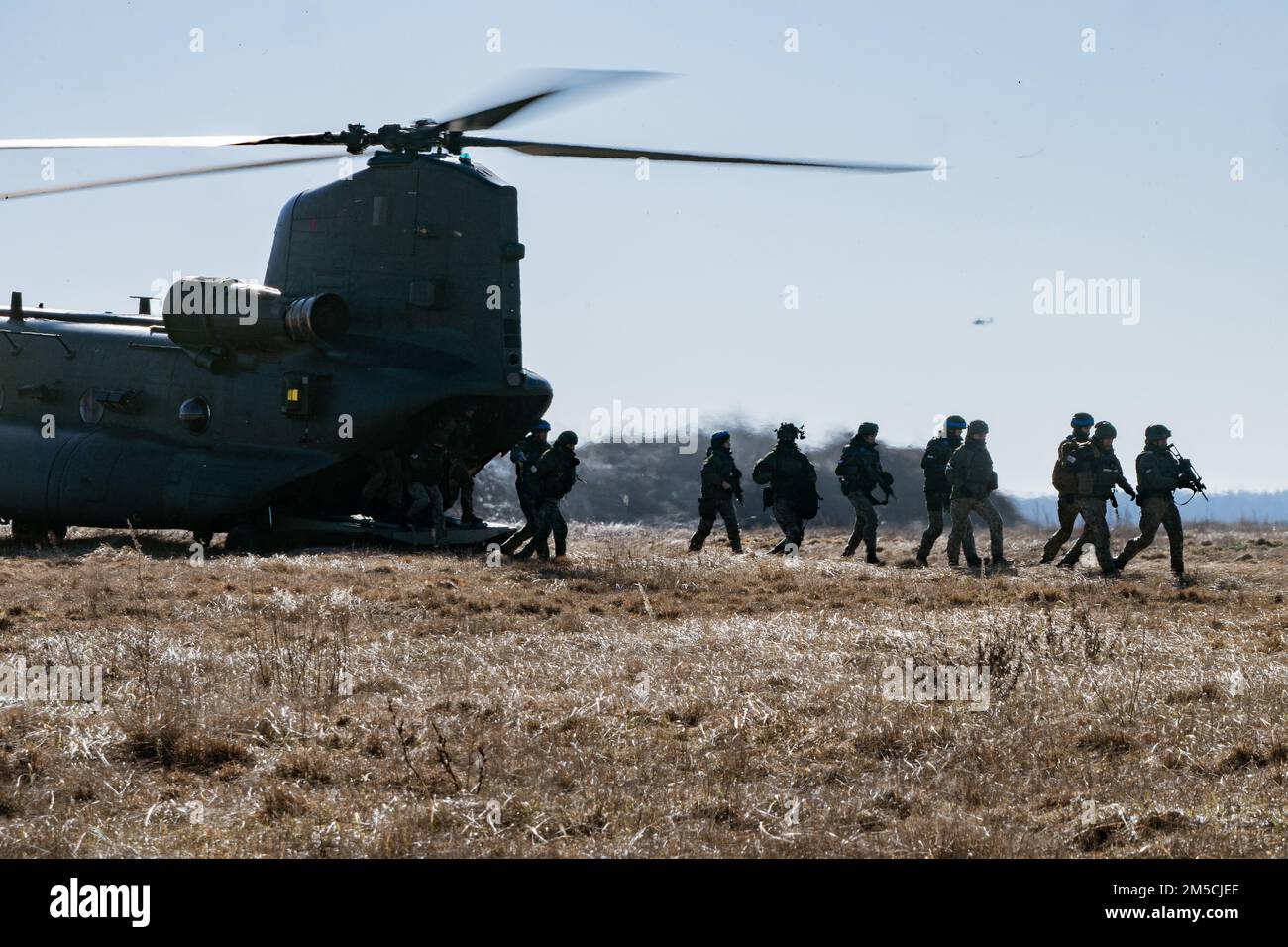 Un elicottero Chinook CH-47 della Aviation Task Force (ATF) della Royal British Air Force scarica i paracadutisti durante un attacco aereo condotto da Stati Uniti, Lituania e Regno Unito, a Kazlu Ruda, Lituania, 1 marzo 2022. L'esercizio multinazionale ha dimostrato l'interoperabilità tra le forze in Lituania per lo sciopero Saber 22. Sciopero Saber ed esercizi come questo dimostrano che le forze statunitensi ed europee possono simultaneamente sostenere operazioni in corso e formazione regolarmente programmata senza degrado nel sostenere gli alleati e i partner della NATO. Foto Stock