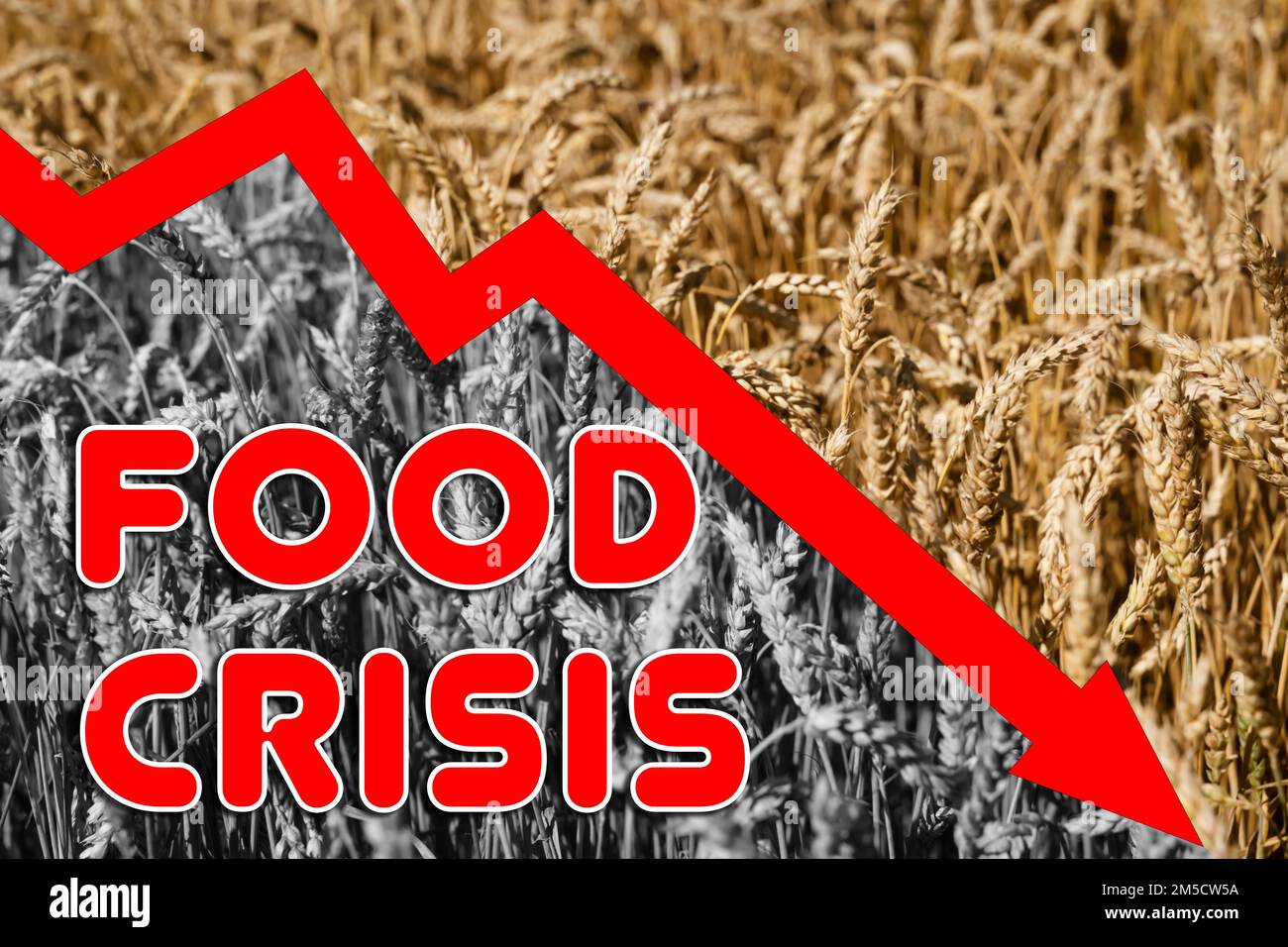 Crisi alimentare. Problemi mondiali con l'approvvigionamento di grano, un grafico di livelli in calo. Mancanza di farina e pane. Concetto di deficit mondiale. . Foto Stock