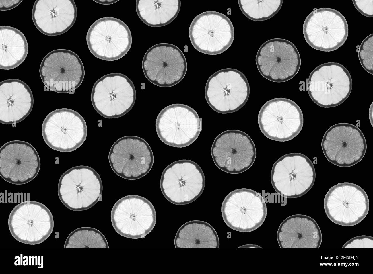 Motivo realizzato con fette di agrumi retroilluminate su sfondo nero Foto Stock
