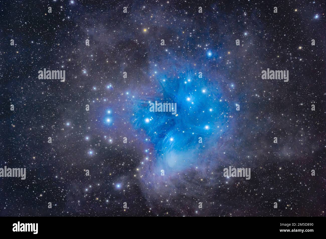 Le Pleiadi, alias Messier 45, incorporato nella nebulosità polverosa che il gruppo di stelle sta attraversando in Toro. Le nuvole di polvere sono illuminate dalla luce Foto Stock