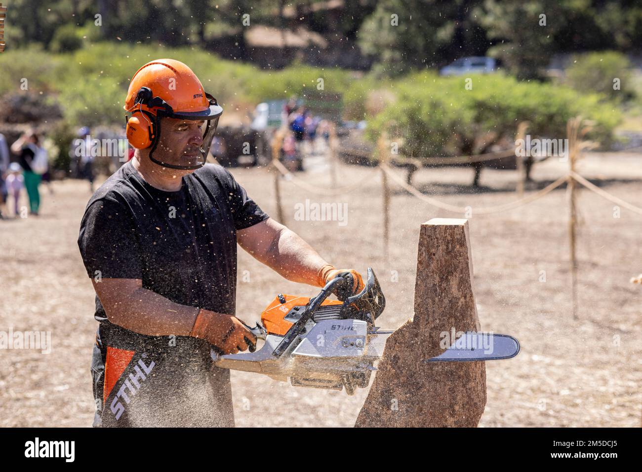 Motosega aquila immagini e fotografie stock ad alta risoluzione - Alamy