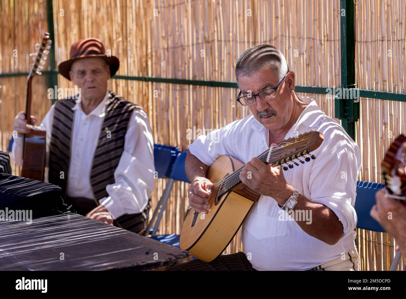 I musicisti con un gruppo folcloristico si sintonizzano prima di esibirsi al giorno della trebbiatura, dia de la trilla all'Ecomuseo di San Jose de Los Llanos, El Tanque Foto Stock