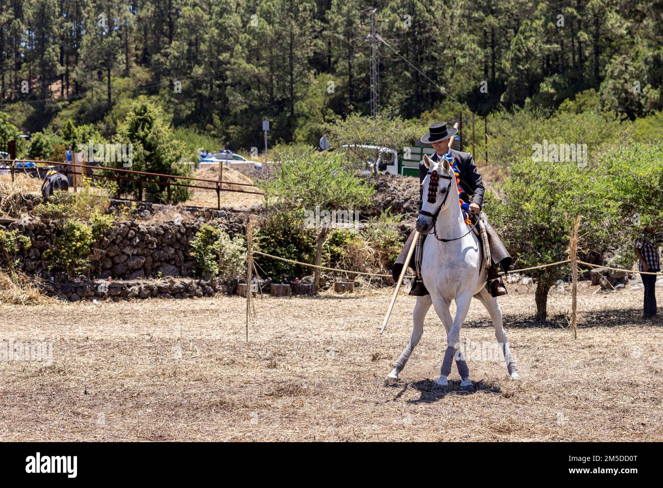 Cavaliere andaluso che offre una mostra di tradizionale cavaliere e spettacolo di danza montato alla musica al giorno di trebbiatura, dia de la trilla al Foto Stock