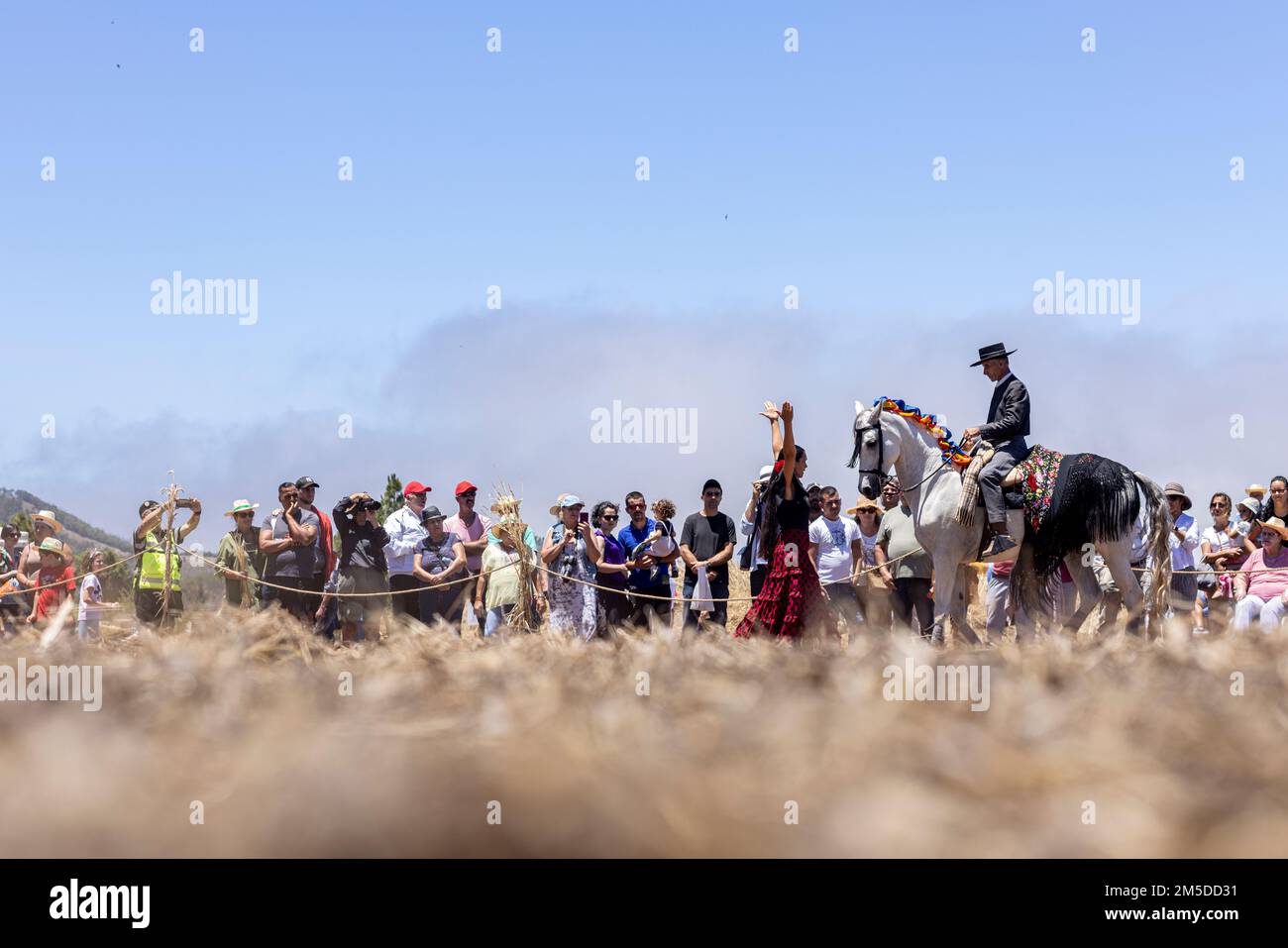 Cavaliere andaluso che offre una mostra di tradizionale cavaliere e spettacolo di danza montato alla musica al giorno di trebbiatura, dia de la trilla al Foto Stock