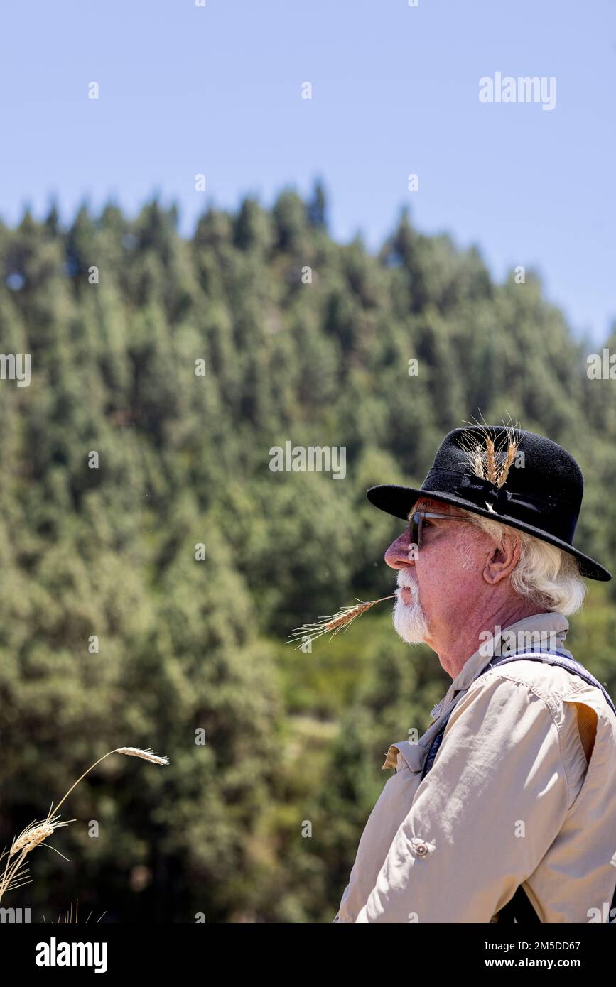 L'uomo che indossa un cappello nero con gambi di mais nella band mastica un pezzo di mais al giorno della trebbiatura, dia de la trilla all'Ecomuseo di San Jose de Los Foto Stock