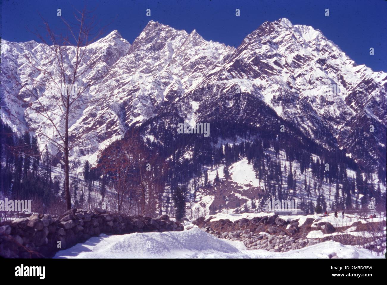 Manali è una località turistica ad alta quota dell'Himalaya, nello stato settentrionale dell'Himachal Pradesh. Ha una reputazione come centro di backpacking e destinazione di luna di miele. Situato sul fiume Beas, è un punto di accesso per sciare nella Valle di Solang e fare trekking nella Valle di Parvati. È anche un punto di partenza per il parapendio, il rafting e l'alpinismo sulle montagne del PIR Panjal, sede del Passo Rohtang alto 4.000m metri. Foto Stock