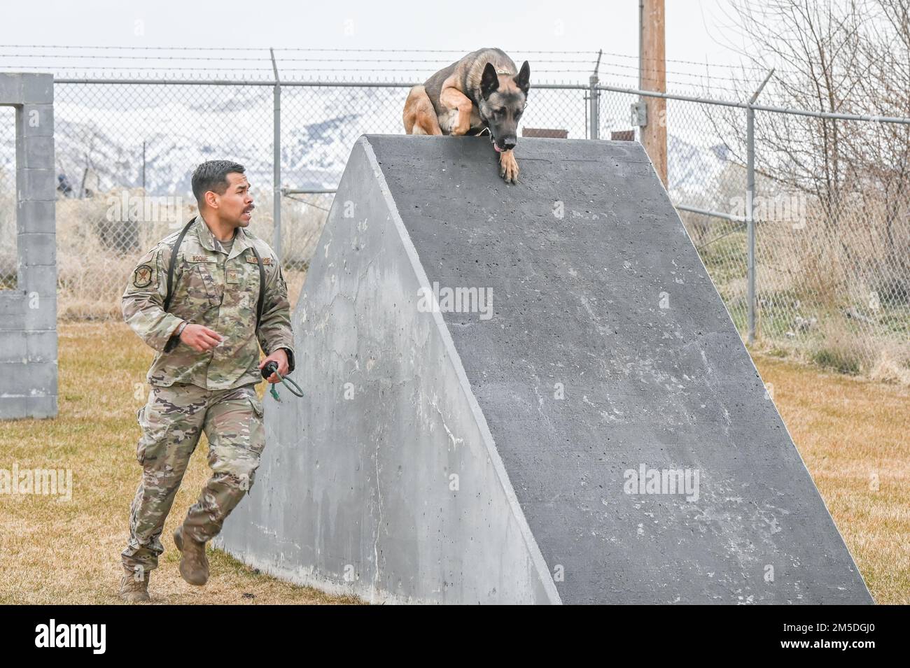 Il cane militare Bak attraversa un percorso a ostacoli con il suo gestore, il personale Sgt. Ricardo Roque, 75th Squadron delle forze di sicurezza, durante l'addestramento del 4 marzo 2022, alla base dell'aeronautica di Hill, Utah. Bak, un cane di rilevamento esplosivo di pattuglia, è una nuova aggiunta al canile K-9 di Hill, essendo recentemente arrivato dal programma di lavoro militare cane presso la base comune di San Antonio-Lackland, Texas. Foto Stock