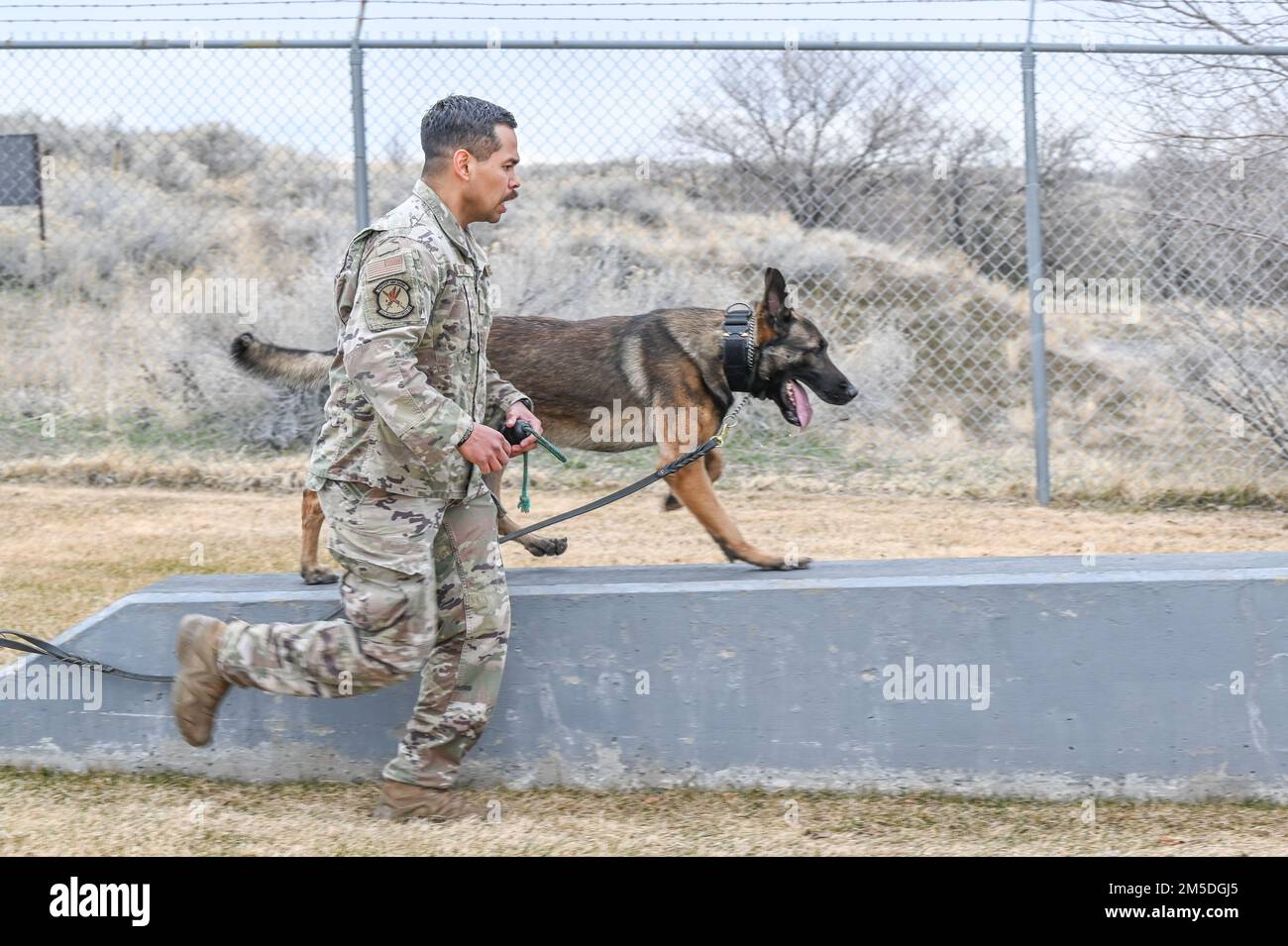 Il cane militare Bak attraversa un percorso a ostacoli con il suo gestore, il personale Sgt. Ricardo Roque, 75th Squadron delle forze di sicurezza, durante l'addestramento del 4 marzo 2022, alla base dell'aeronautica di Hill, Utah. Bak, un cane di rilevamento esplosivo di pattuglia, è una nuova aggiunta al canile K-9 di Hill, essendo recentemente arrivato dal programma di lavoro militare cane presso la base comune di San Antonio-Lackland, Texas. Foto Stock