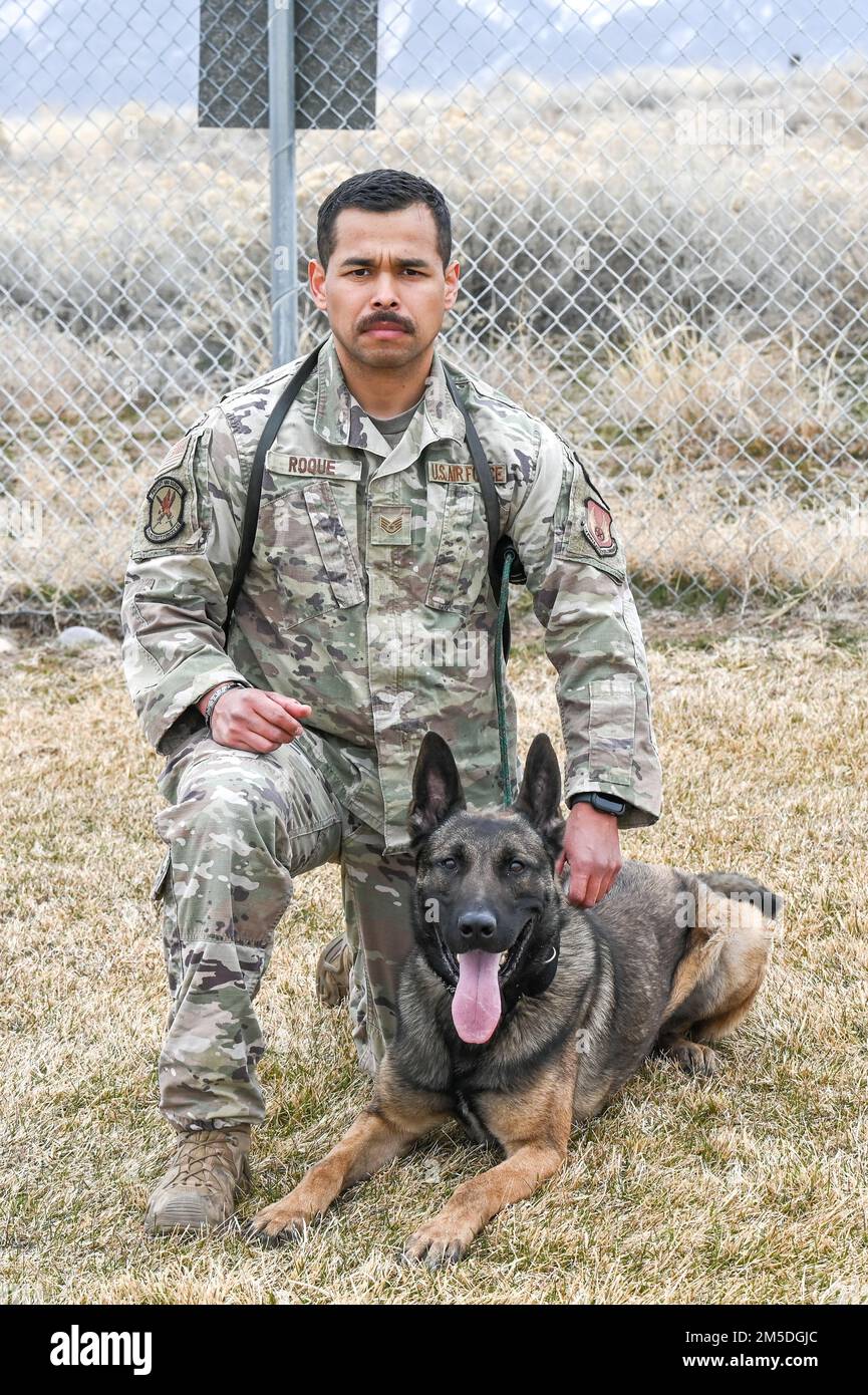 Lo staff Sgt. Ricardo Roque, 75th forze di sicurezza, si pone con il suo cane militare di lavoro, Bak, 4 marzo 2022, alla base dell'aeronautica militare di Hill, Utah. Bak, un cane di rilevamento esplosivo di pattuglia, è una nuova aggiunta al canile K-9 di Hill, essendo recentemente arrivato dal programma di lavoro militare cane presso la base comune di San Antonio-Lackland, Texas. Foto Stock