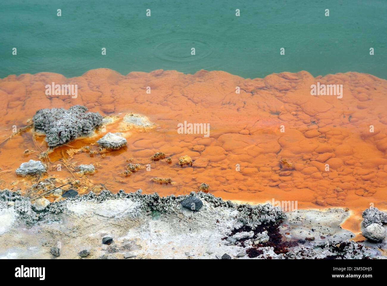 I depositi arancioni luminosi sul bordo della piscina di Champaigne vulcanica nel parco termale di Wai-o-Tapu, Rotorua, Nuova Zelanda Foto Stock