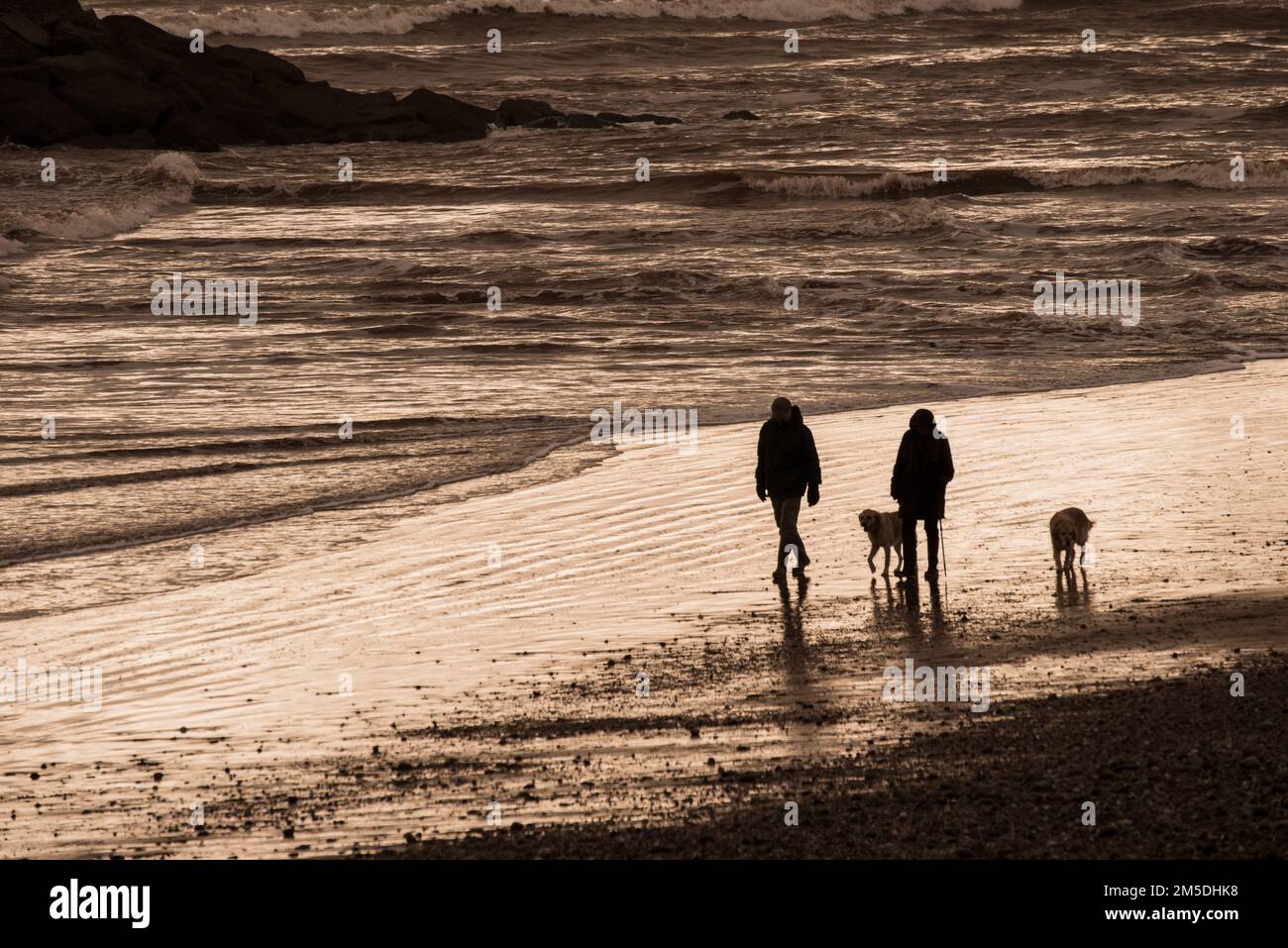 Una coppia con due cani passeggiando lungo la riva del mare nel sole di tarda sera a Sidmouth, Devon, Inghilterra Foto Stock