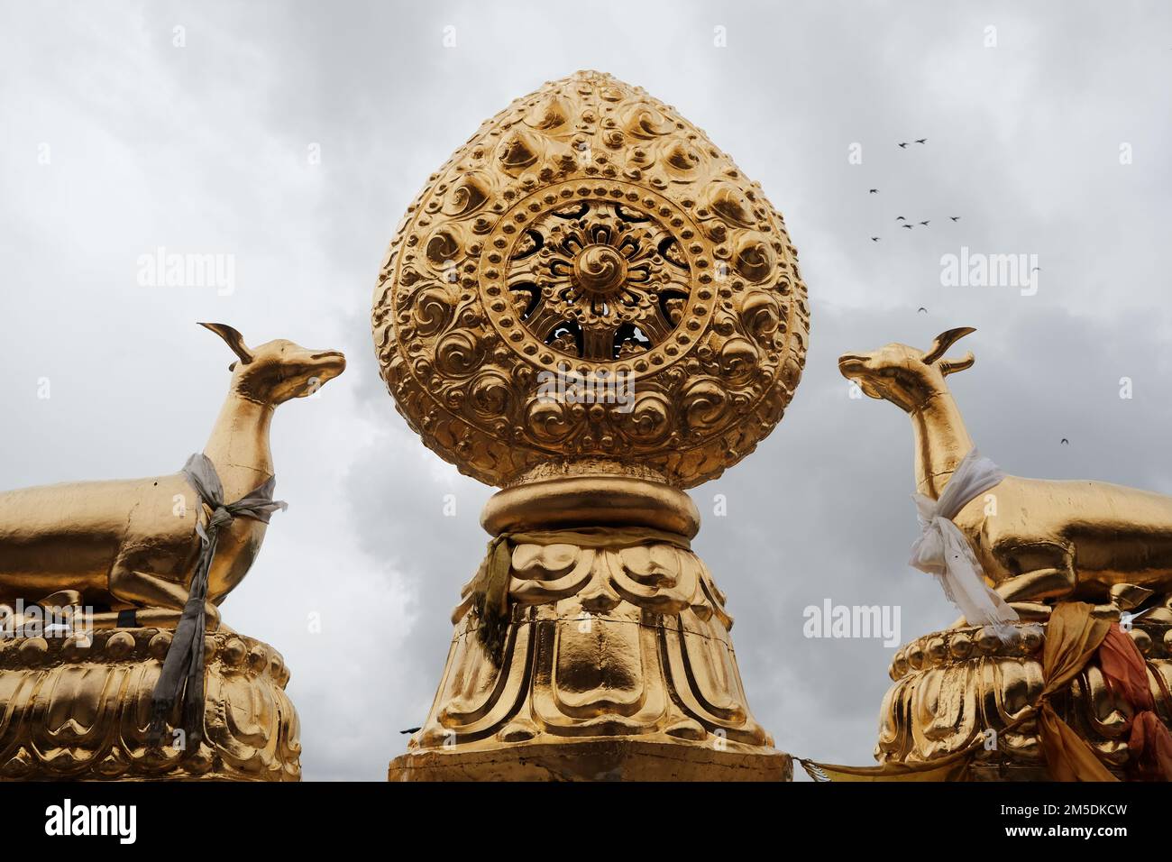 Ruota di Dharma al Monastero di Songzanlin a Shangri-la. Simbol religioso tibetano. Statua dorata sul tetto con uccelli che volano nel cielo. Foto Stock
