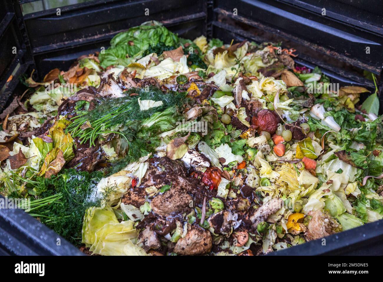 ecologia, giardinaggio, riciclaggio, compostaggio aperto, bidone di compostaggio con verdure e rifiuti di cucina Foto Stock