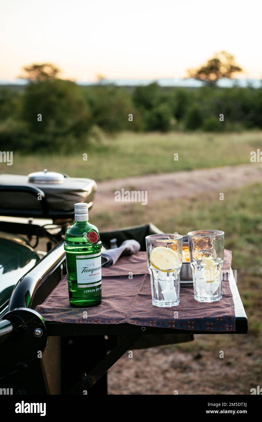 Drink serali Sundowner, Riserva Naturale privata di Timbavati, Parco Nazionale di Kruger, Sud Africa Foto Stock