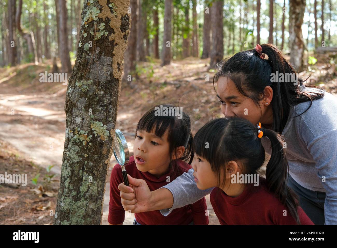 Felice madre e figlia esplorando e utilizzando la lente di ingrandimento per osservare gli insetti sul tronco dell'albero nella foresta. Famiglia felice in vacanza nella natura. Foto Stock