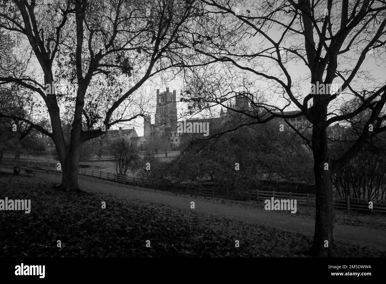 Cattedrale di Ely in una fredda mattinata gelida, Ely, Cambridgeshire, Inghilterra, 2022 dicembre Foto Stock
