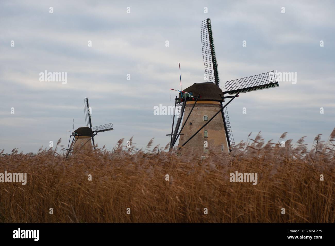 I mulini a vento Werelderfgoed Kinderdijk su prato bruno a Kinderdijk, Paesi Bassi Foto Stock