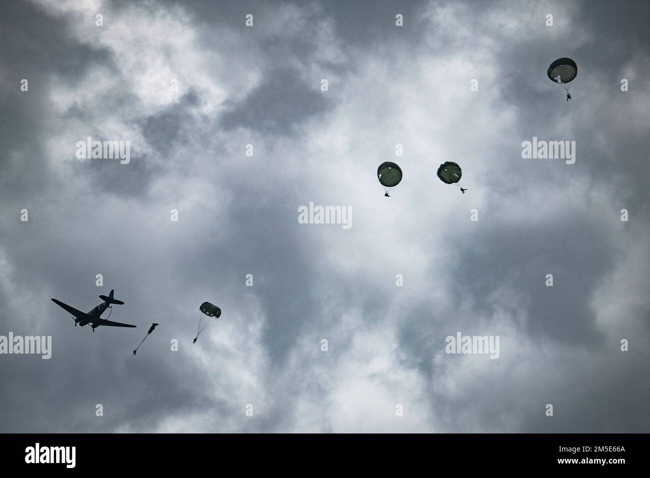 Foto Del Giorno: Il D-Day Per I Paracadutisti A 4 Zampe - Foto 10