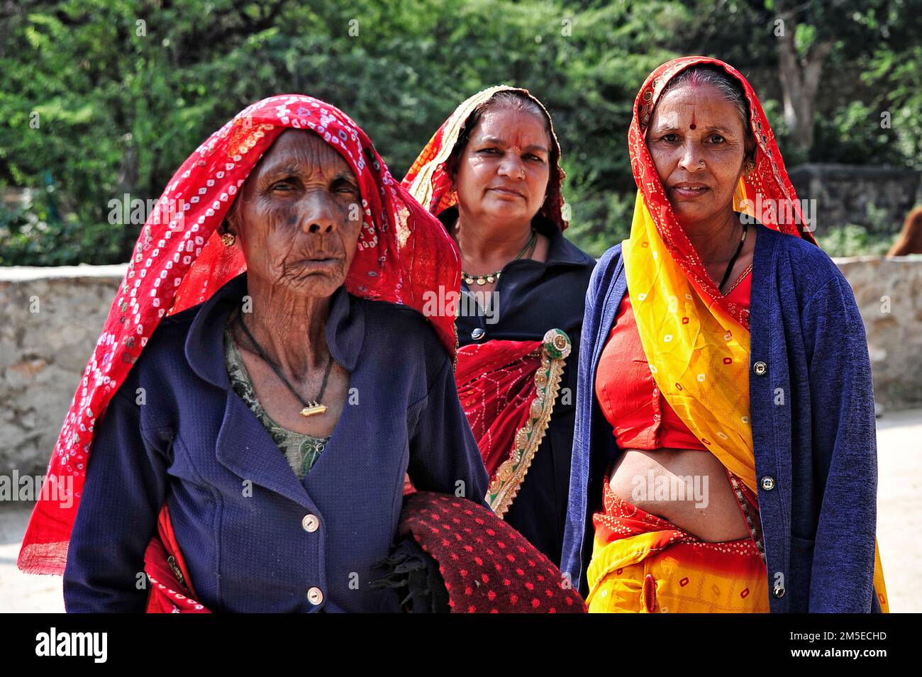 Rajasthani donne in tempio Galtaji anche tempio scimmia, Rajasthan, Jaipur, India Foto Stock