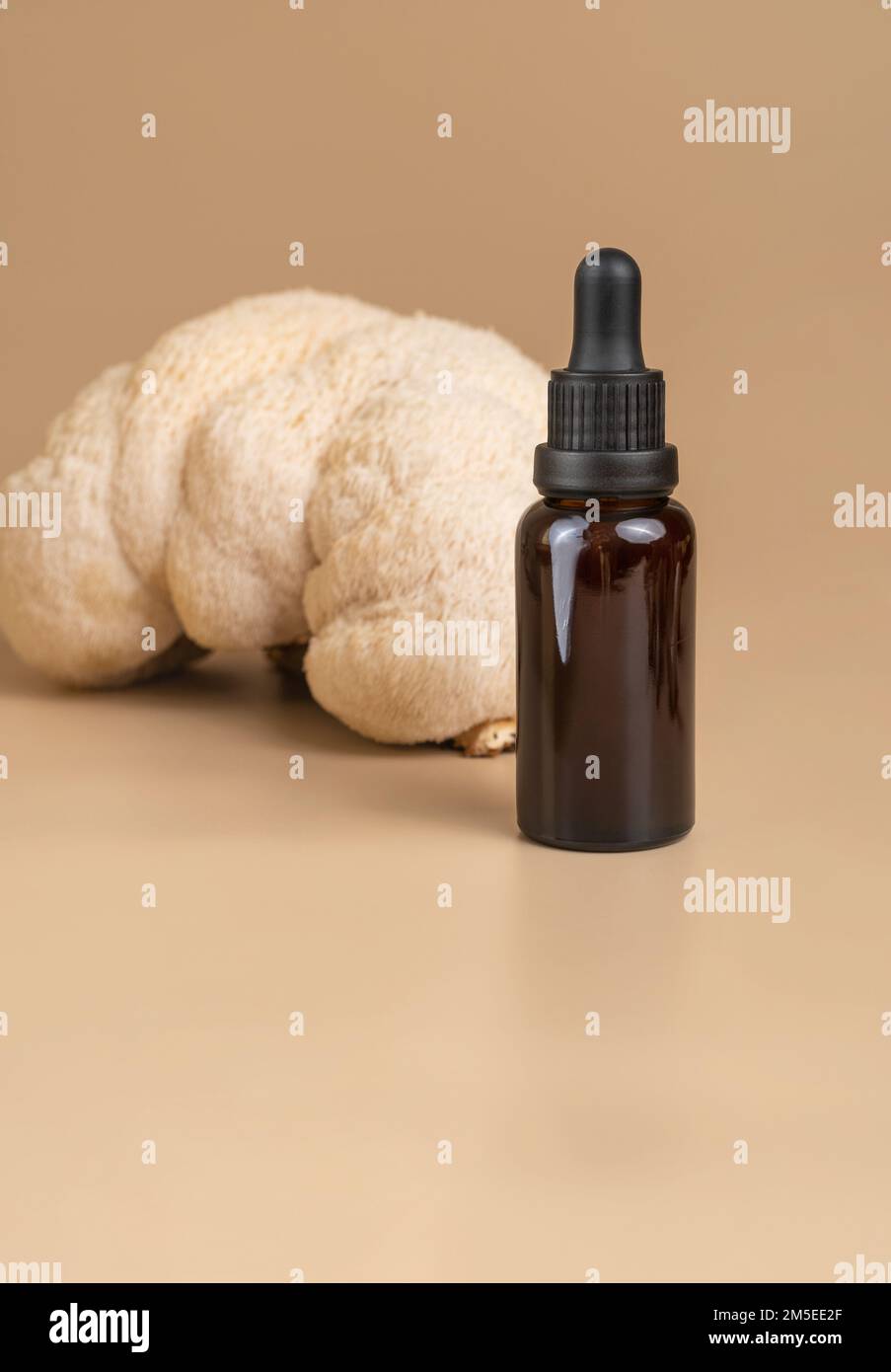 Bottiglia con olio essenziale contro i funghi di criniera di leone Foto Stock