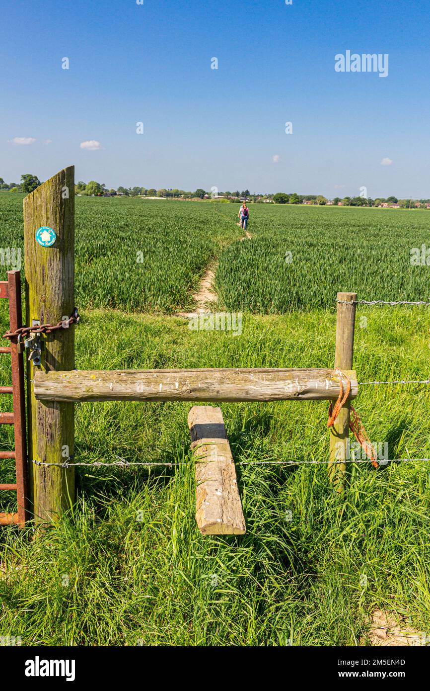 Camminando nella campagna inglese - Uno stile rurale e rustico da attraversare in una passeggiata in un campo di agricoltori in Spencers Wood, Wokingham, Berkshire, Regno Unito Foto Stock