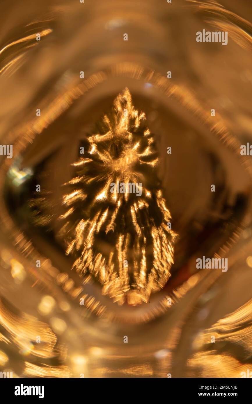 WA22839-00...WASHINGTON - Un albero di Natale visto attraverso un vetro d'acqua fotografato con un Lensbaby Sweet 50 obiettivo. Foto Stock