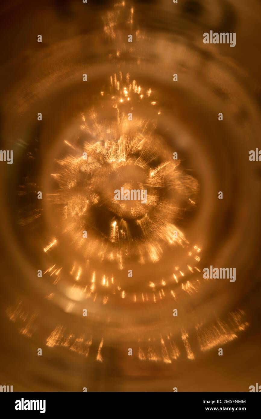 WA22855-00...WASHINGTON - Un albero di Natale fotografato con Lensbaby Sweet 50 lente coperta da un bicchiere d'acqua . Foto Stock