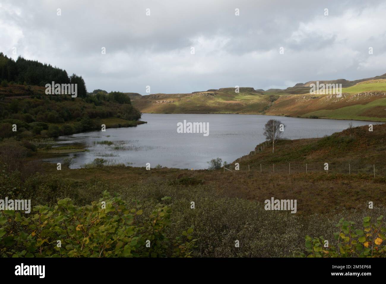 Loch an Torr, vicino a Dervaig, Isola di Mull, Scozia Foto Stock