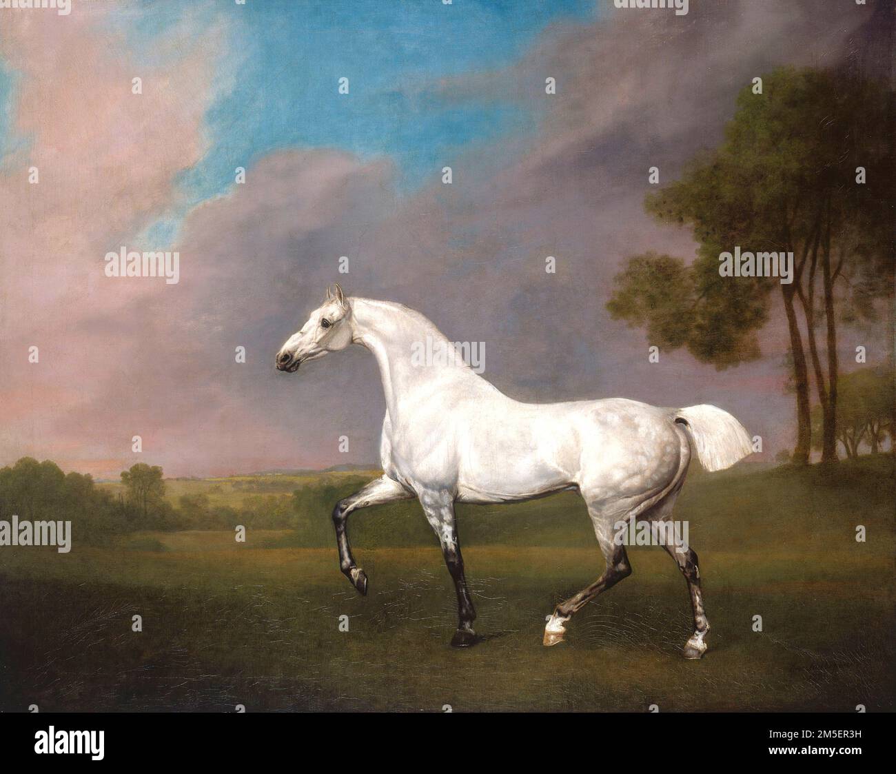 George Stubbs - A Grey Horse - 1793 - Un cavallo grigio in profilo cammina a sinistra con il suo antenato destro sollevato in un paesaggio ondulato. Foto Stock