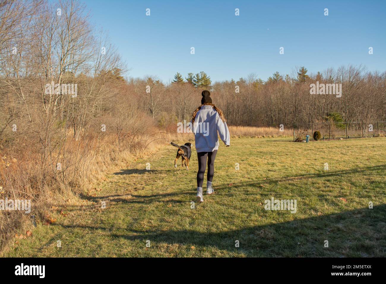 Ragazza con il suo cane di montagna svizzero che cammina fuori ai margini dei boschi nel New Hampshire USA Foto Stock