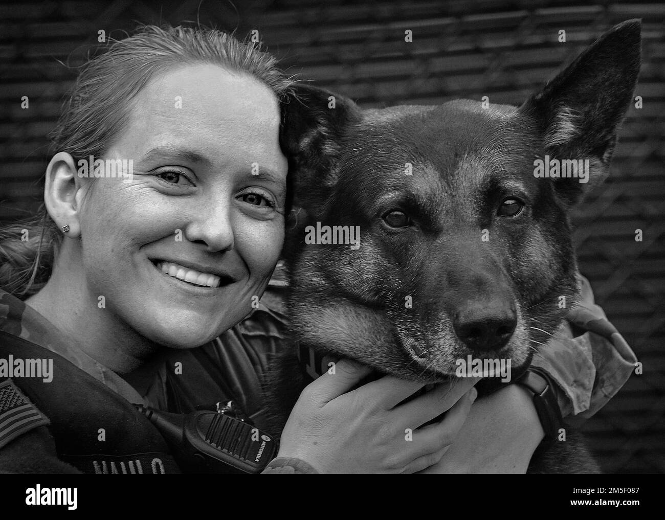 Nel fine settimana è stata celebrata la Giornata Nazionale dei Veterani del K9. Riconosce il servizio di cani da lavoro nei settori militare e civile che effettuano missioni di deterrente criminale e di rilevamento di stupefacenti ed esplosivi. Tra questi c'è Batman, un pastore tedesco assegnato al 544th° distaccamento della polizia militare di Fort Lee. Il suo gestore è CPL. Amy Maulo. I due lavorano insieme da circa quattro anni. Maulo ha affermato che il successo della missione dipende in gran parte dalla fiducia creata tramite un processo incrementale. “È divertente, fondamentalmente, costruire quel rapporto perché vuoi che ti piaccia, essenzialmente, così Foto Stock