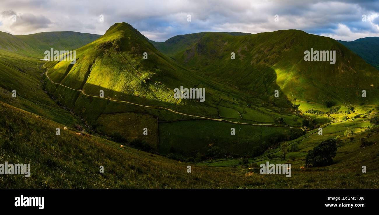 Gray Crag & Hartsop Dodd nel Lake District presto in una mattina di mezza estate. Foto Stock