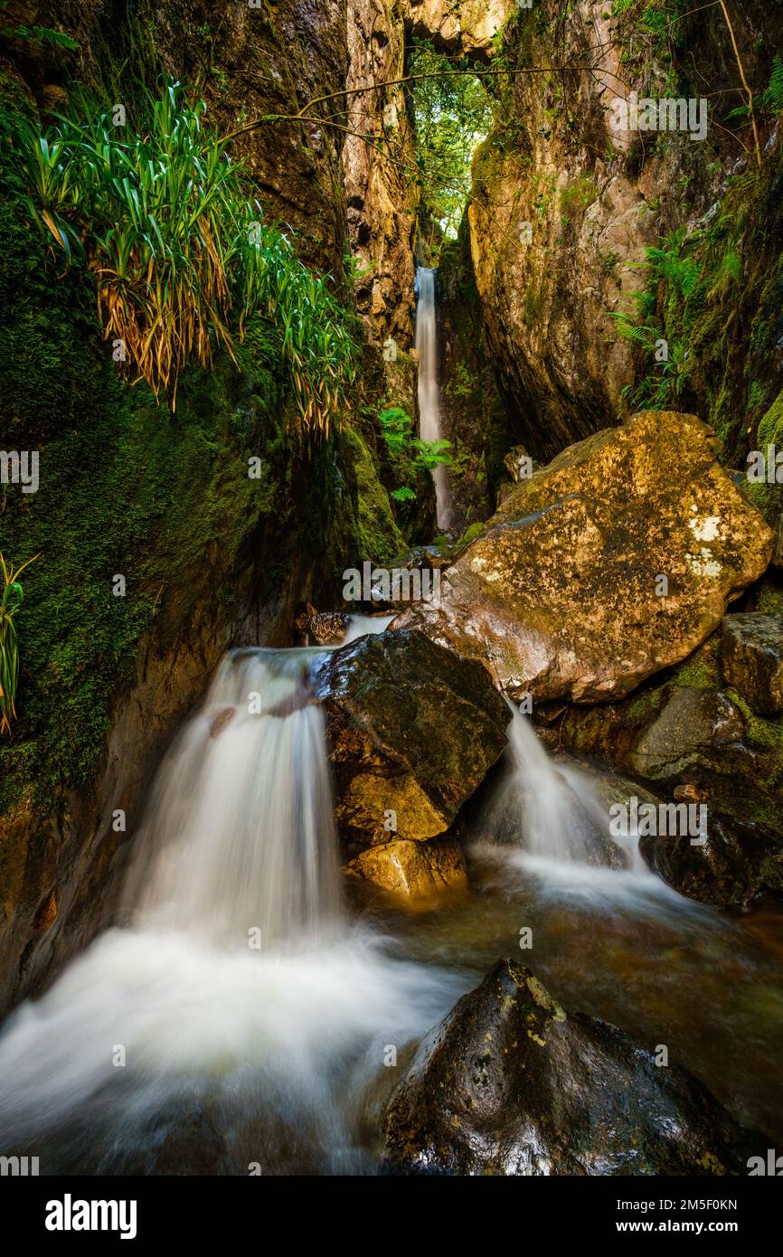 Dungeon Ghyll Force a Great Langdale, Lake District, Regno Unito Foto Stock