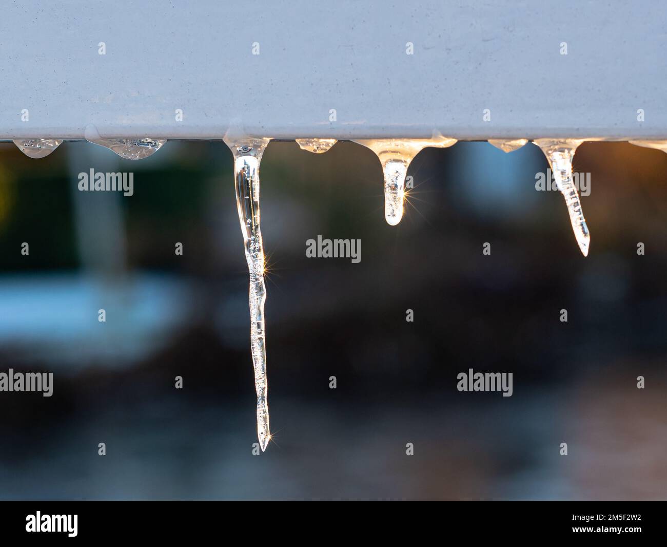 I ghiaccioli brillano alla luce del sole in una fredda mattinata invernale Foto Stock