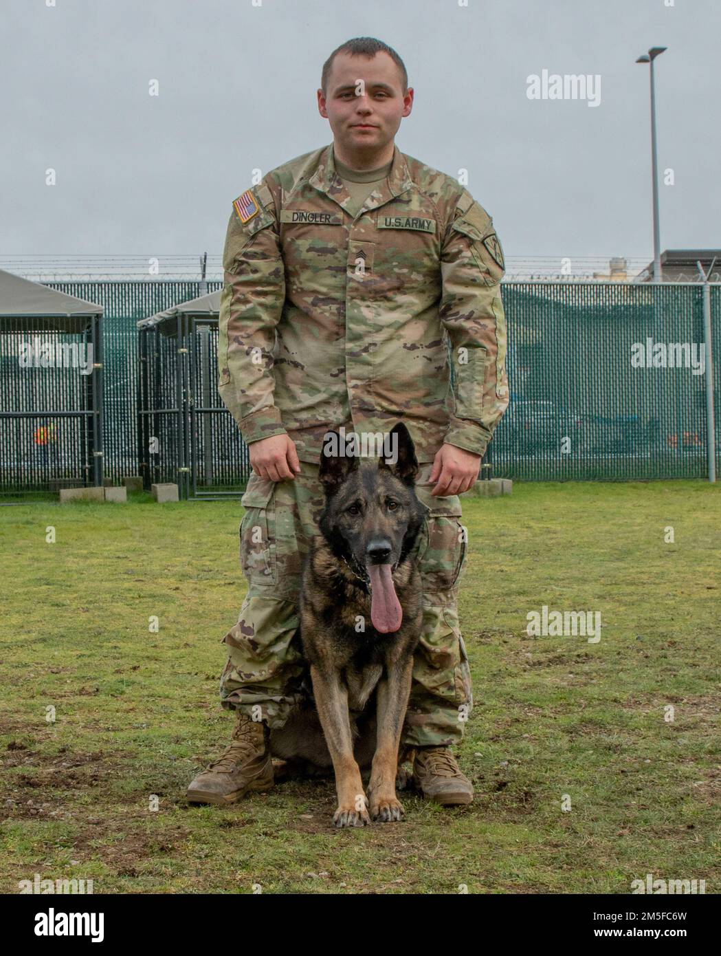 Jason Dingler, un operatore militare di cane con il 95th Military Police Detachment (MWD) alla base militare Lewis-McChord, Washington, si pone con il suo cane militare di lavoro, Greco. Greco è un cane militare da otto anni, e Dingler è stato il suo gestore per gli ultimi quattro. Foto Stock