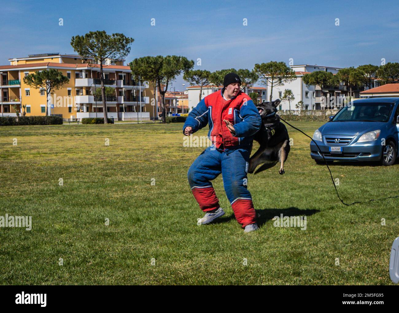 STATI UNITI Navy Military Working Dog (MWD) Szana partecipa a una dimostrazione di abilità con Master-at-Arms 3rd Class Nikolis Bullock a bordo Naval Support Activity (NSA) Naples Support Site a Gricignano, 12 marzo 2022. La dimostrazione di abilità fa parte della celebrazione della Giornata dei Veterani K-9 della NSA Naples MWD Security Team, organizzata per commemorare il servizio e i sacrifici dei cani militari e da lavoro americani e per educare i membri della comunità NSA Naples al programma MWD. La NSA Naples è una base operativa a terra che consente alle forze nazionali degli Stati Uniti, alleate e partner di essere dove sono necessarie Foto Stock