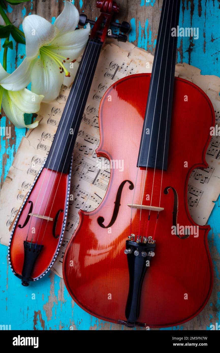Pocket Violin e Full Size Violin ancora vita Foto Stock