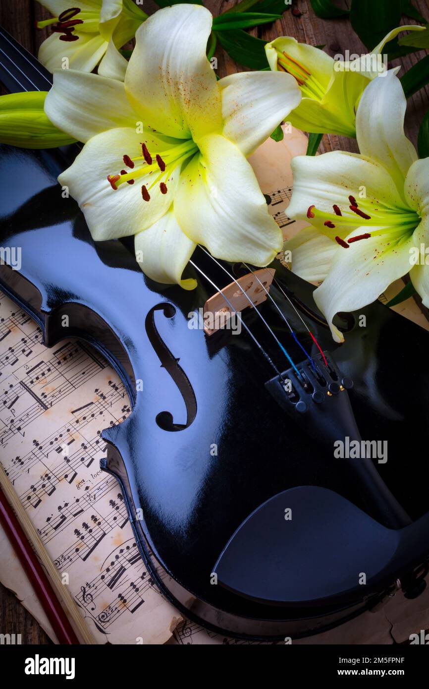 Gigli bianchi e violino nero su Sheet Music Still Life Foto Stock
