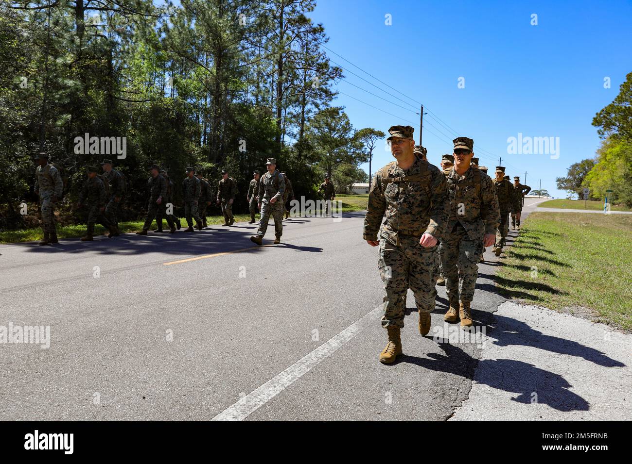 STATI UNITI Marines con Combat Logistics Regiment 37 conduce un'escursione sostenibile per dare il via all'esercitazione Atlantic Dragon su Camp Blanding, Florida, Stati Uniti, 24 marzo 2022. Atlantic Dragon è un esercizio di generazione della forza che spinge Combat Logistics Regiment 37 come un gruppo di operazioni di assemblaggio di arrivo per fornire supporto logistico tattico a III Marine Expeditionary Force. L'esercizio consiste in una tattica sperimentale di trasferimento di forza marittima preposizionata di attrezzature militari che sosterrà l'addestramento di esercitazione sul campo per aumentare la prontezza e l'efficienza di combattimento. 3rd MLG, con sede a Okinawa, Japa Foto Stock STATI UNITI Marines con Combat Logistics Regiment 37 conduce un'escursione sostenibile per dare il via all'esercitazione Atlantic Dragon su Camp Blanding, Florida, Stati Uniti, 24 marzo 2022. Atlantic Dragon è un esercizio di generazione della forza che spinge Combat Logistics Regiment 37 come un gruppo di operazioni di assemblaggio di arrivo per fornire supporto logistico tattico a III Marine Expeditionary Force. L'esercizio consiste in una tattica sperimentale di trasferimento di forza marittima preposizionata di attrezzature militari che sosterrà l'addestramento di esercitazione sul campo per aumentare la prontezza e l'efficienza di combattimento. 3rd MLG, con sede a Okinawa, Japa Foto Stock