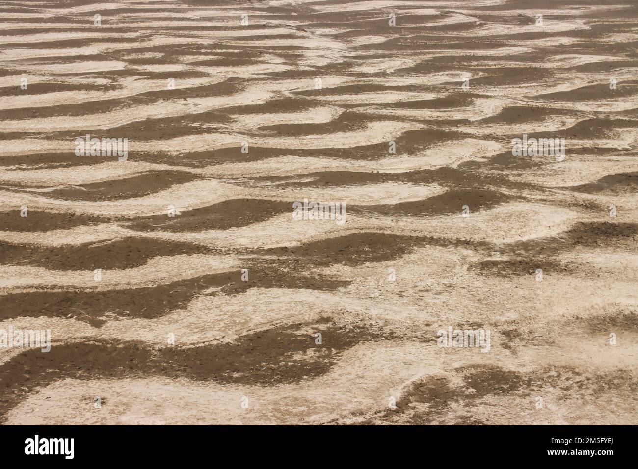 SICCITÀ, È UNO SCENARIO MOLTO COMUNE IN BANGLADESH, QUANDO QUESTO PERIODO È GIUNTO, ALLORA IL POPOLO DEL BANGLADESH SI TROVA AD AFFRONTARE UN MOMENTO MOLTO CRUCIALE. Foto Stock