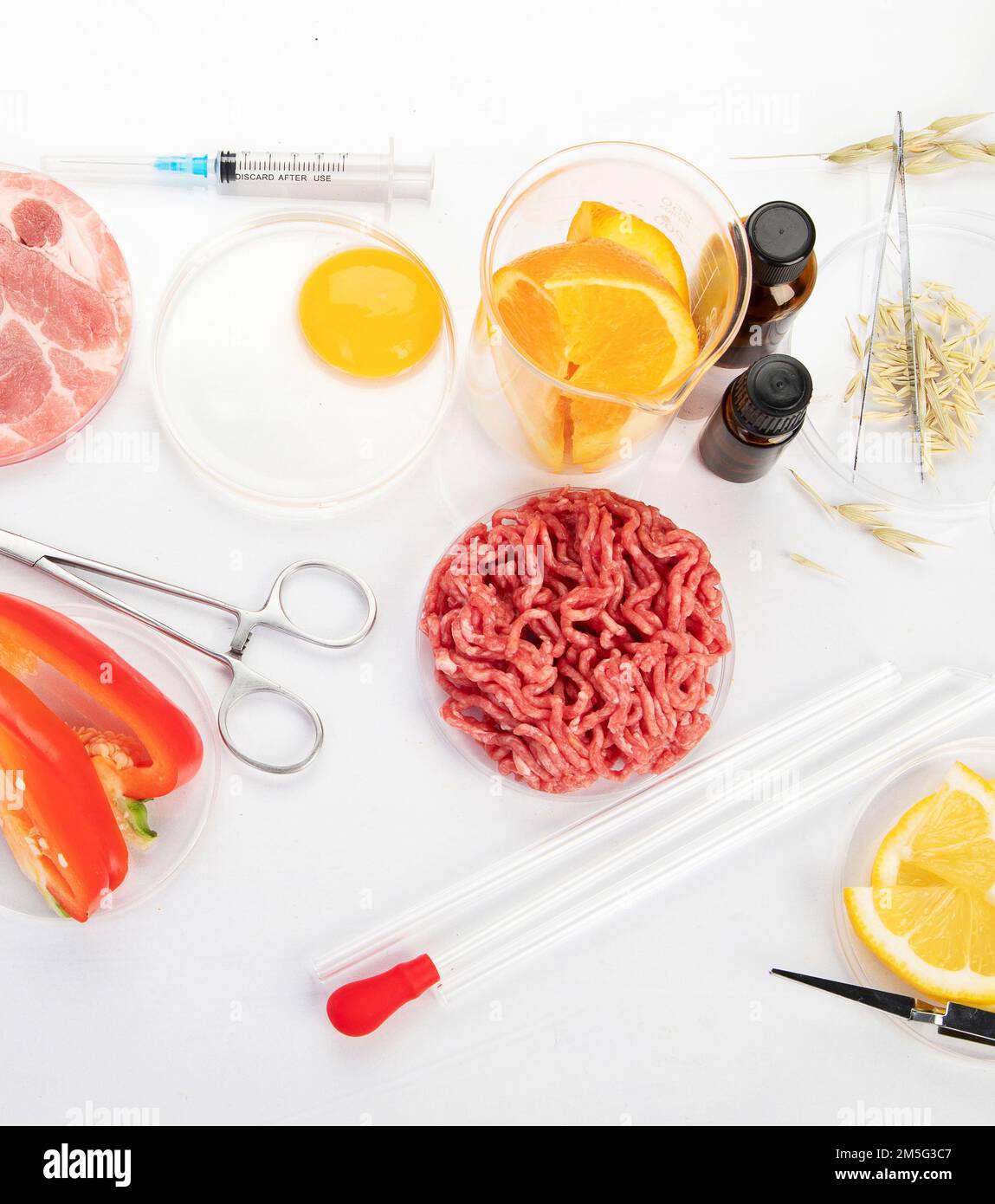 Assistente di laboratorio nel laboratorio di qualità alimentare. Saggio di coltura cellulare per testare sementi geneticamente modificate. Vista dall'alto. Foto Stock